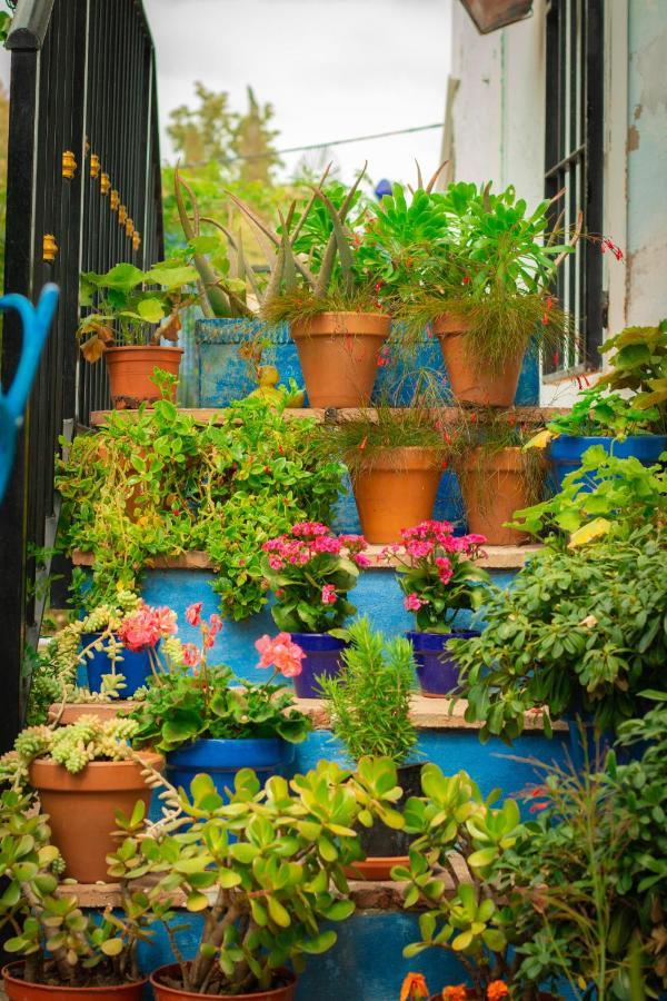 Bohemian Villa - Malaga Эль-Чорро Экстерьер фото